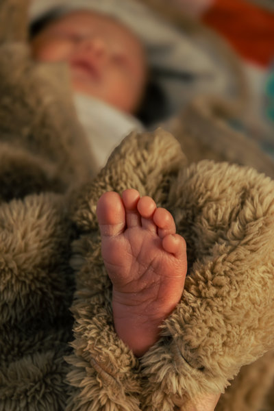 Newborn portrait