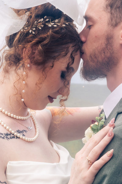 Engagement and wedding portrait